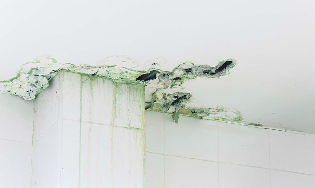 Water Damage and Leaks