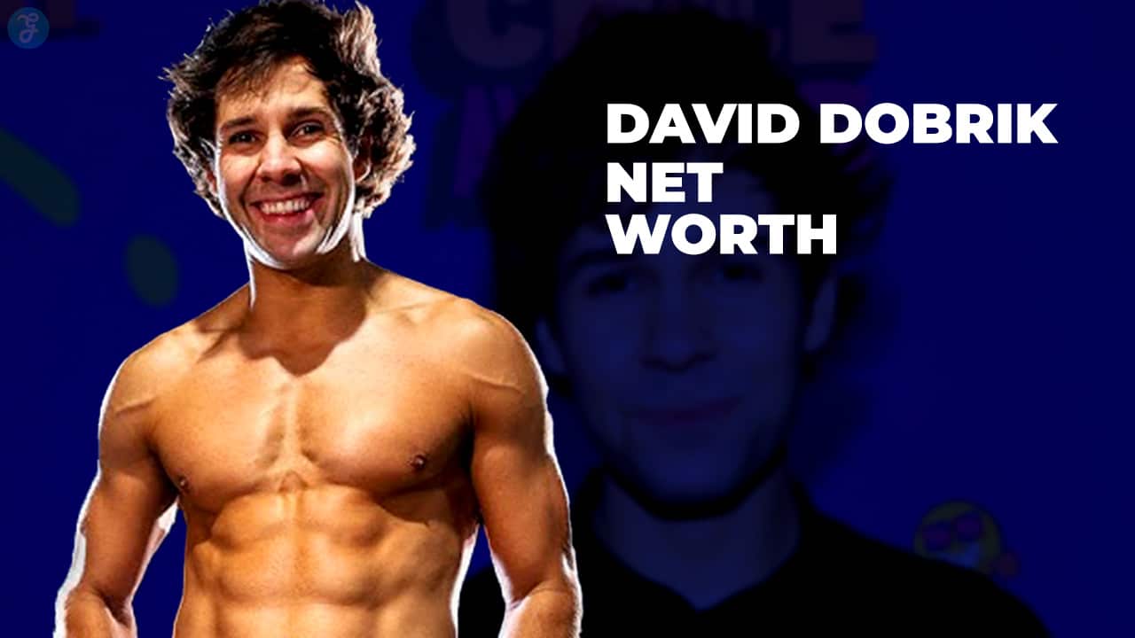 david dobrik net worth
