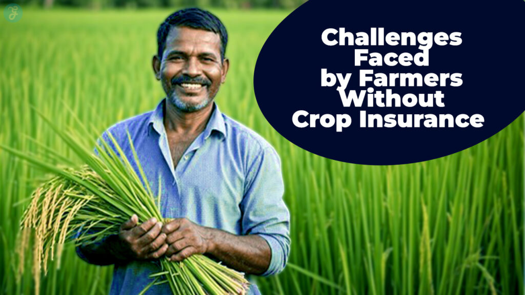 Challenges Faced By Farmers Without Crop Insurance