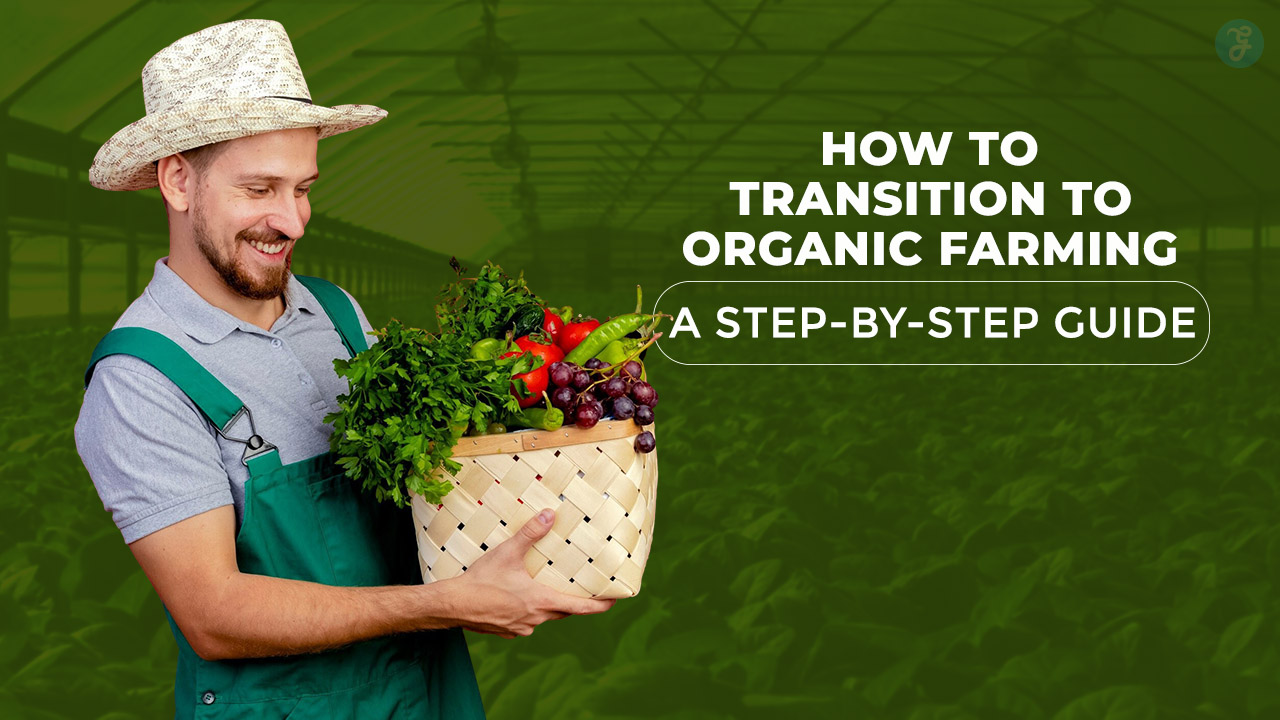 How to Transition to Organic Farming