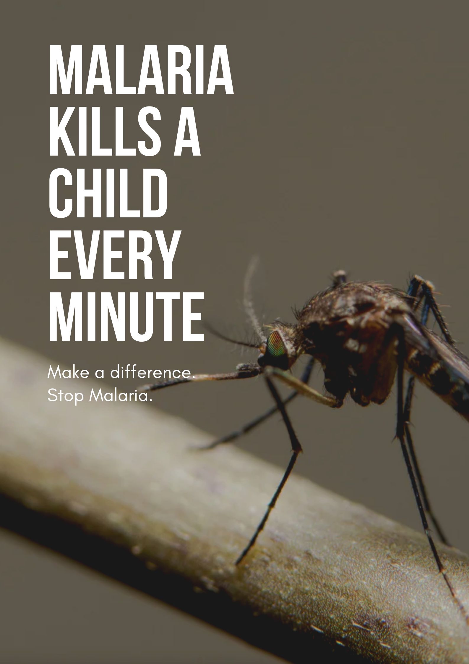 Malaria Did you Know