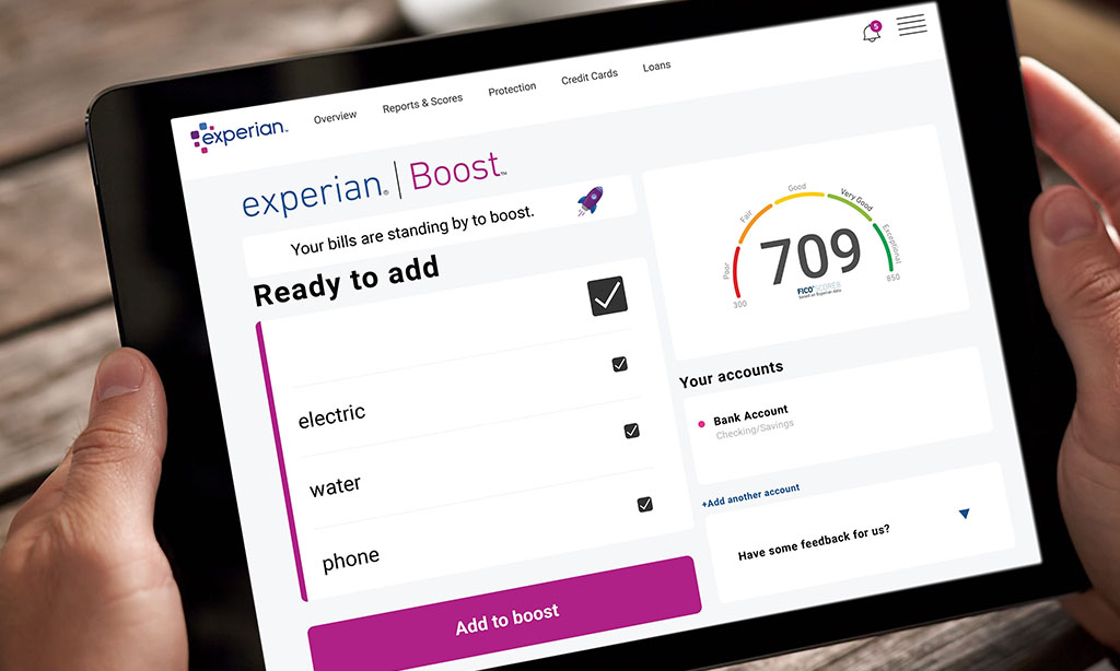 Experian Boost